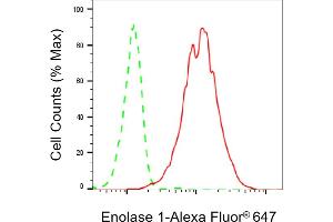 Flow cytometric analysis of Enolase 1 expression in HepG2 cells using Enolase 1 antibody (ABIN7798448), 1:2,000). (Recombinant ENO1 antibody)