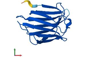 AlphaFold protein structure predicition of Mouse Recombinant Lgals7 Protein, UniprotID O54974 (LGALS7 Protein (AA 1-136) (His tag))