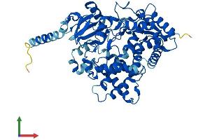 AlphaFold protein structure predicition of Mouse Recombinant Cyp2d9 Protein, UniprotID P11714 (Cyp2d9 Protein (AA 1-504) (His tag))