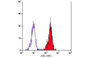 Staining of human peripheral blood monocytes with Mouse anti Human CD55 (ABIN118737). (CD55 antibody)
