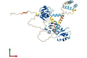 Protein Structure (PS) image for X-Linked Inhibitor of Apoptosis (XIAP) (AA 1-497) protein (His tag) (ABIN7556053)