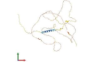 AlphaFold protein structure predicition of Mouse Recombinant Lax1 Protein, UniprotID Q8BHB3 (LAX1 Protein (AA 1-407) (His tag))