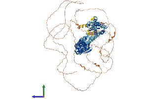 AlphaFold protein structure predicition of Mouse Recombinant Kcnb2 Protein, UniprotID A6H8H5