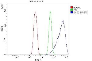 Flow Cytometry analysis of HEPA1-6 cells using anti-GNG2 antibody (ABIN7600505).