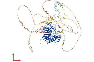 Protein Structure (PS) image for Methylphosphate Capping Enzyme (MEPCE) (AA 1-689) protein (His tag) (ABIN7549383)