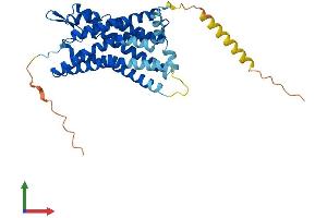 Protein Structure (PS) image for Pyrimidinergic Receptor P2Y, G-Protein Coupled, 4 (P2RY4) (AA 1-361) protein (His tag) (ABIN7561604)