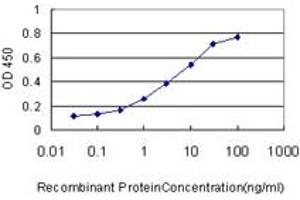 Detection limit for recombinant GST tagged CASP1 is approximately 0. (Caspase 1 antibody  (AA 1-100))