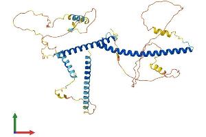 AlphaFold protein structure predicition of Mouse Recombinant Tfeb Protein, UniprotID Q9R210 (TFEB Protein (AA 1-475) (His tag))