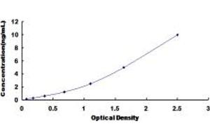 Typical standard curve (E2F3 ELISA Kit)
