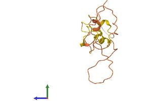AlphaFold protein structure predicition of Human Recombinant KRTAP1-4 Protein, UniprotID P0C5Y4 (KRTAP1-4 Protein (AA 1-121) (His tag))