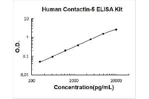 Typical Standard Curve