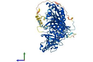 Protein Structure (PS) image for Centrosomal Protein 76kDa (Cep76) (AA 1-659) protein (His tag) (ABIN7556955)