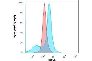 Flow Cytometric Analysis of U87MG cells using CD73 Mouse Monoclonal Antibody (NT5E/2503) followed by goat anti-Mouse IgG-CF488 (Blue); Isotype Control (Red). (CD73 antibody)