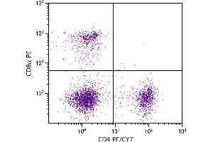 BALB/c mouse splenocytes were stained with Rat Anti-Mouse CD4-PE/CY7 and Rat Anti-Mouse CD8α-PE. (CD4 antibody  (PE-Cy7))