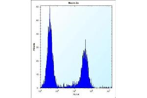 Flow Cytometry (FACS) image for anti-CF153 antibody (ABIN2995840) (CF153 antibody)