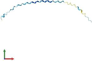 AlphaFold protein structure predicition of Human Recombinant SPRR2A Protein, UniprotID P35326 (SPRR2A Protein (AA 1-72) (Fc Tag))