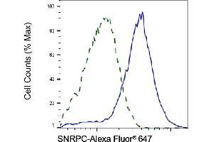 Validation of SNRPC knockdown using flow cytometry. (Recombinant SNRPC antibody)