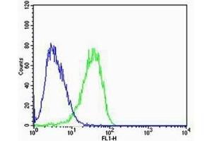Flow cytometric analysis of U-87 MG cells using CN2 Antibody (green, Cat(ABIN6244177 and ABIN6577076)) compared to an isotype control of mouse IgG2b(blue). (Calpain 2 antibody  (AA 1-400))