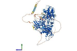 AlphaFold protein structure predicition of Human Recombinant XYLT1 Protein, UniprotID Q86Y38 (XYLT1 Protein (AA 1-959) (His tag))