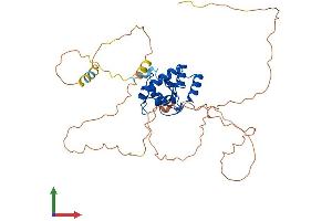 Protein Structure (PS) image for ADP-Ribosylation Factor GTPase Activating Protein 1 (ARFGAP1) (AA 1-414) protein (His tag) (ABIN7561381)