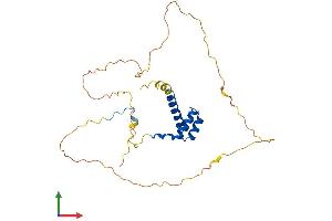 AlphaFold protein structure predicition of Human Recombinant HOXB5 Protein, UniprotID P09067 (HOXB5 Protein (AA 1-269) (His tag))