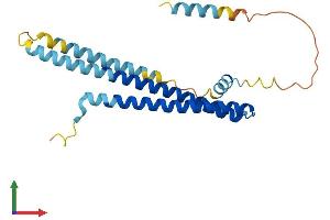 Protein Structure (PS) image for Charged Multivesicular Body Protein 2A (CHMP2A) (AA 1-222) protein (His tag) (ABIN7565003)
