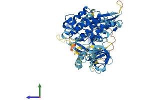 Protein Structure (PS) image for IL2-Inducible T-Cell Kinase (ITK) (AA 1-620) protein (His tag) (ABIN7554214)