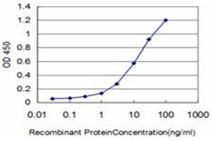 Detection limit for recombinant GST tagged CSF1R is approximately 0. (CSF1R antibody  (AA 21-120))