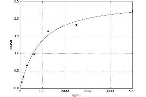 A typical standard curve (COQ10B ELISA Kit)