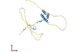 Protein Structure (PS) image for Brain-Specific Homeobox (BSX) (AA 1-233) protein (His tag) (ABIN7552684)