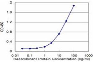 Detection limit for recombinant GST tagged FAAH is approximately 1ng/ml as a capture antibody. (FAAH antibody  (AA 480-579))
