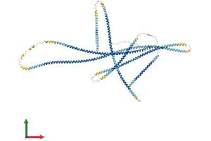 AlphaFold protein structure predicition of Mouse Recombinant Pmfbp1 Protein, UniprotID Q9WVQ0