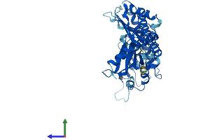AlphaFold protein structure predicition of Human Recombinant BABAM2 Protein, UniprotID Q9NXR7