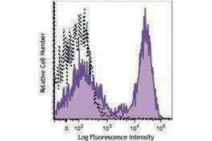 Flow Cytometry (FACS) image for Mouse anti-Rat Ig (Light Chain) antibody (PE) (ABIN2667182) (Mouse anti-Rat Ig (Light Chain) Antibody (PE))