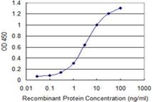 Detection limit for recombinant GST tagged TPM3 is 0. (TPM3 antibody  (AA 1-248))