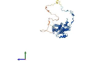 AlphaFold protein structure predicition of Human Recombinant BEST4 Protein, UniprotID Q8NFU0 (Bestrophin 4 Protein (BEST4) (AA 1-473) (His tag))
