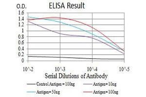 Black line: Control Antigen (100 ng),Purple line: Antigen (10 ng), Blue line: Antigen (50 ng), Red line:Antigen (100 ng) (Aurora A antibody  (AA 268-404))