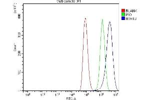 Flow Cytometry analysis of A549 cells using anti-5HT1B/HTR1B antibody (ABIN7601425). (5HT1B Receptor antibody  (AA 35-390))