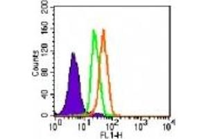 Image no. 3 for anti-Toll-Like Receptor 5 (TLR5) (AA 700-800) antibody (ABIN208231) (TLR5 antibody  (AA 700-800))