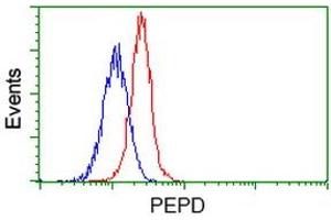 Flow cytometric Analysis of Jurkat cells, using anti-PEPD antibody (ABIN2453446), (Red), compared to a nonspecific negative control antibody (TA50011), (Blue). (PEPD antibody)