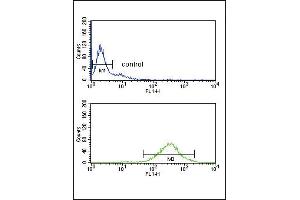 GOT2 Antibody (N-term) (ABIN652917 and ABIN2842590) flow cytometry analysis of Ramos cells (bottom histogram) compared to a negative control cell (top histogram).