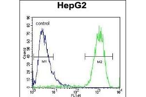 ATP5H Antibody (Center) (ABIN654144 and ABIN2844011) flow cytometric analysis of HepG2 cells (right histogram) compared to a negative control cell (left histogram). (ATP5H antibody  (AA 68-97))