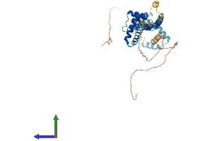 AlphaFold protein structure predicition of Mouse Recombinant Pbx3 Protein, UniprotID O35317 (PBX3 Protein (AA 1-434) (His tag))