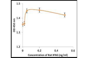 Activity Assay (AcA) image for Interferon gamma (IFNG) (Active) protein (ABIN5509324) (Interferon gamma Protein (IFNG))