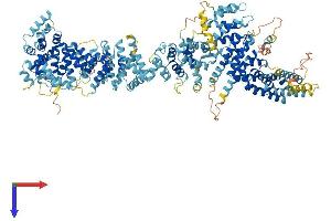 Integrator Complex Subunit 2 (INTS2) (AA 1-1204) protein (His tag)