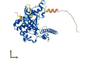 AlphaFold protein structure predicition of Human Recombinant SMYD5 Protein, UniprotID Q6GMV2