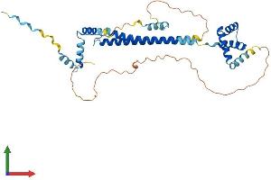 Protein Structure (PS) image for Pre-B-Cell Leukemia Homeobox 4 (PBX4) (AA 1-374) protein (His tag) (ABIN7550604)