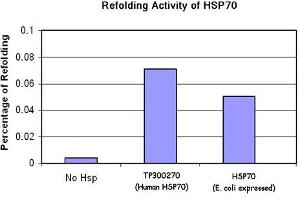 Activity Assay (AcA) image for Heat Shock 70kDa Protein 1A (HSPA1A) (Active) protein (Myc-DYKDDDDK Tag) (ABIN2722555)