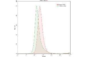 Detection of PKM2 in K562 human chronic myelogenous leukemia cell line using Polyclonal Antibody to Pyruvate kinase isozymes M2 (PKM2) (PKM2 antibody  (AA 141-248))