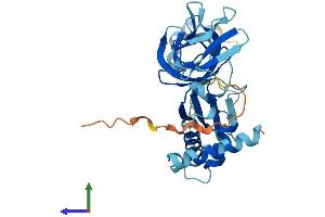 AlphaFold protein structure predicition of Human Recombinant EXOSC2 Protein, UniprotID Q13868 (EXOSC2 Protein (AA 1-293) (His tag))